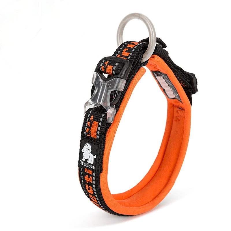 Reflective Sturdy Duraflex Buckle Dog Collar