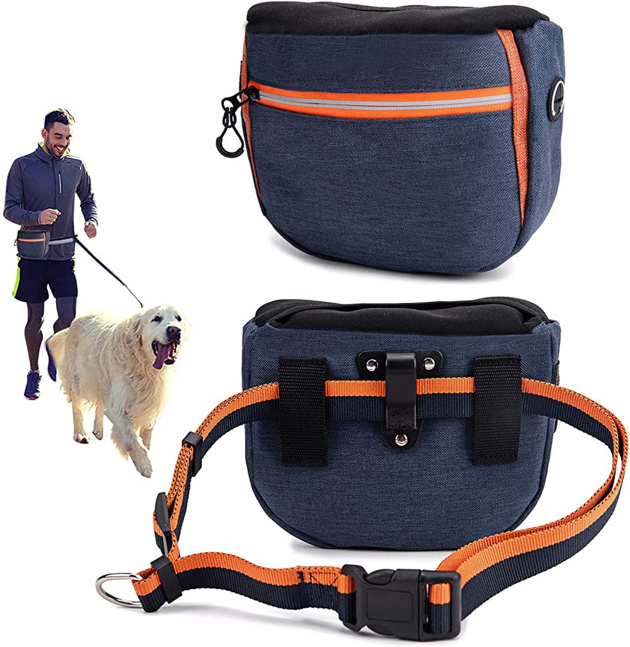 Large Capacity Dog Treat Bag