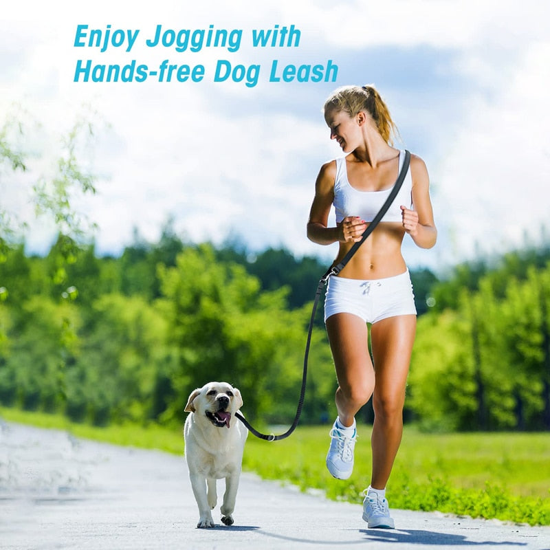 Sturdy Multifunctional Hands Free Dog Leash