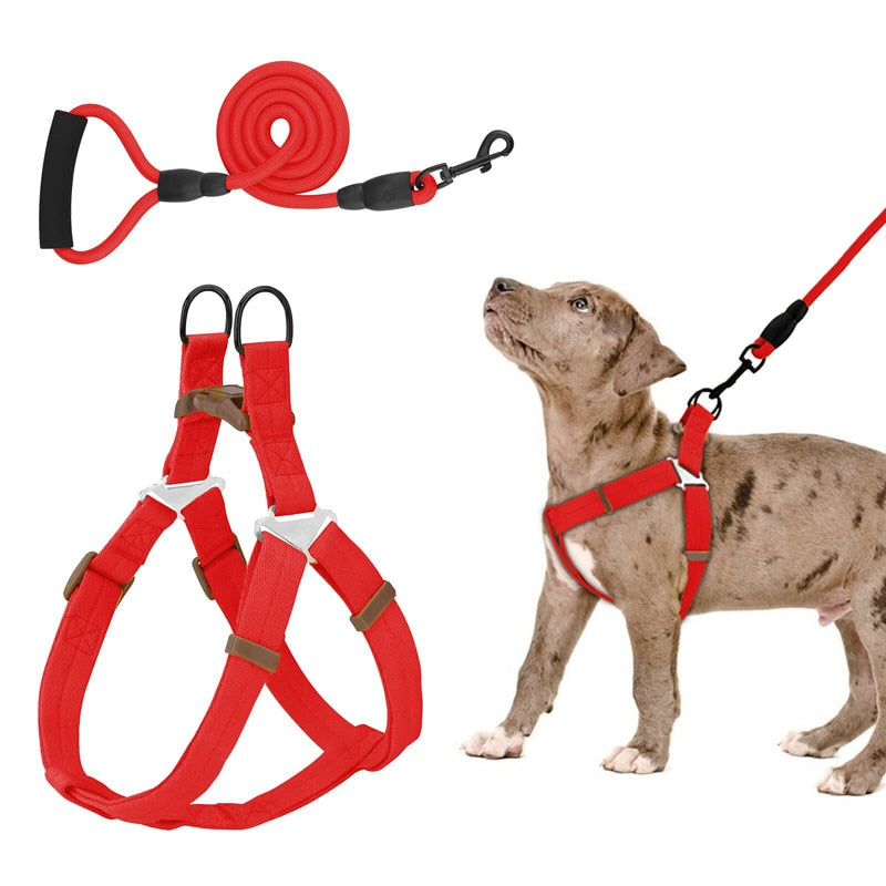 No Pull Dog Halter Harness Leash Set