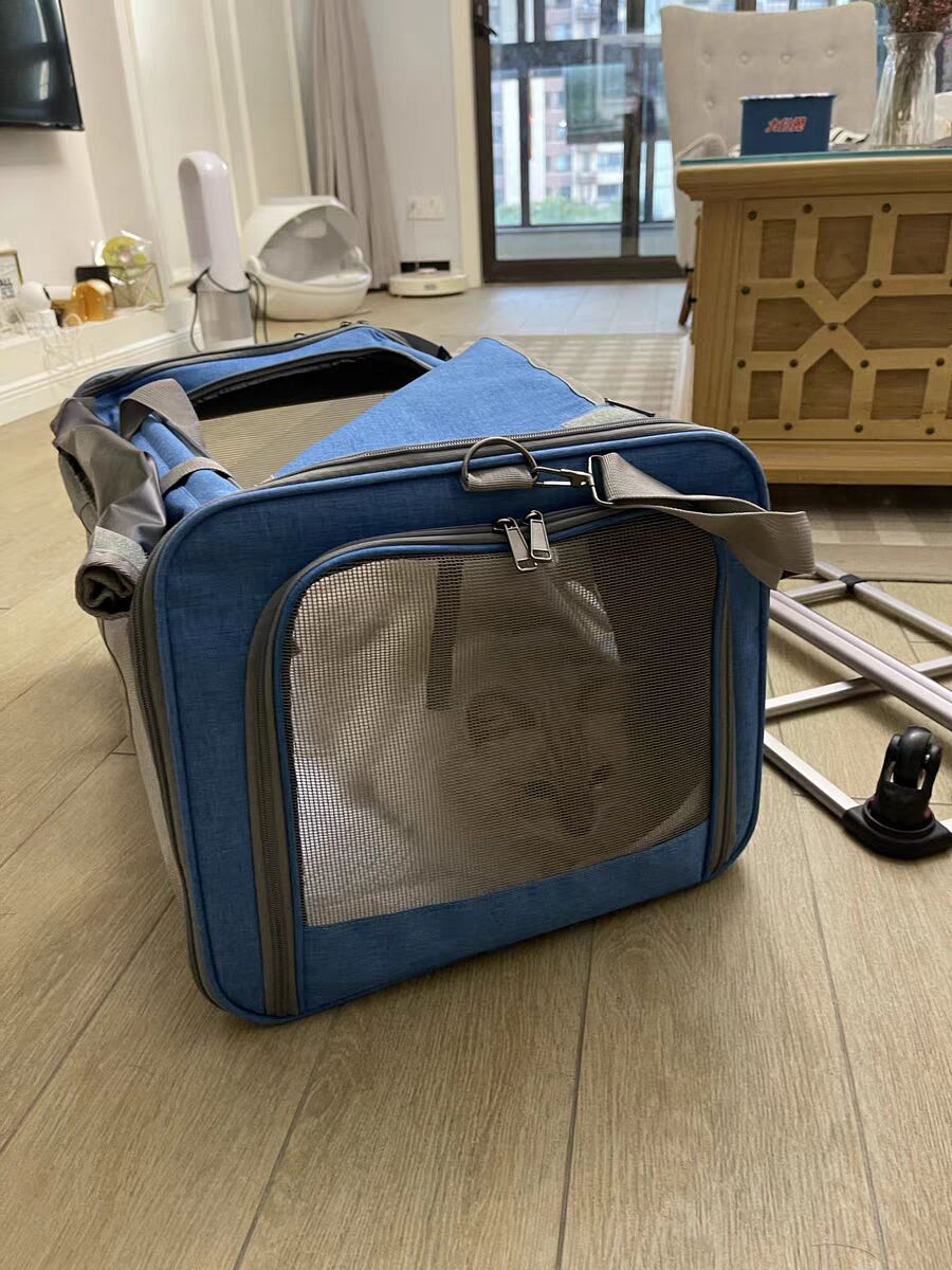 Pet Carrier With Detachable Wheels