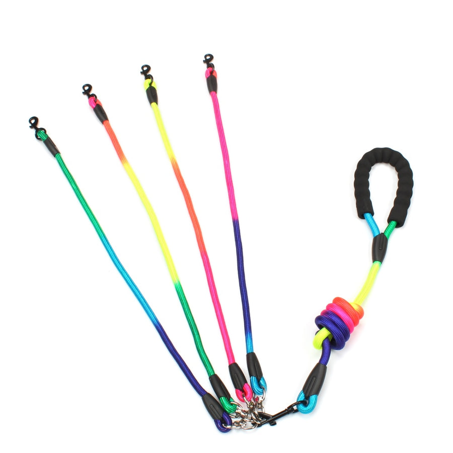 Detachable Rainbow Nylon Dog Leash