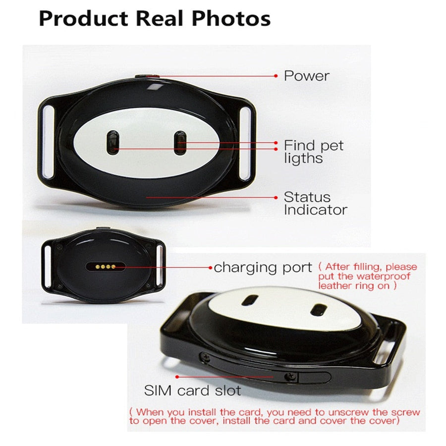 4G Smart Dog Gps Tracker Collar