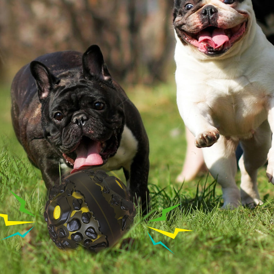 Near Indestructible Meteorite Dog Toy