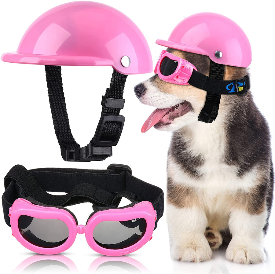 Outdoor Dog Helmet And Goggles