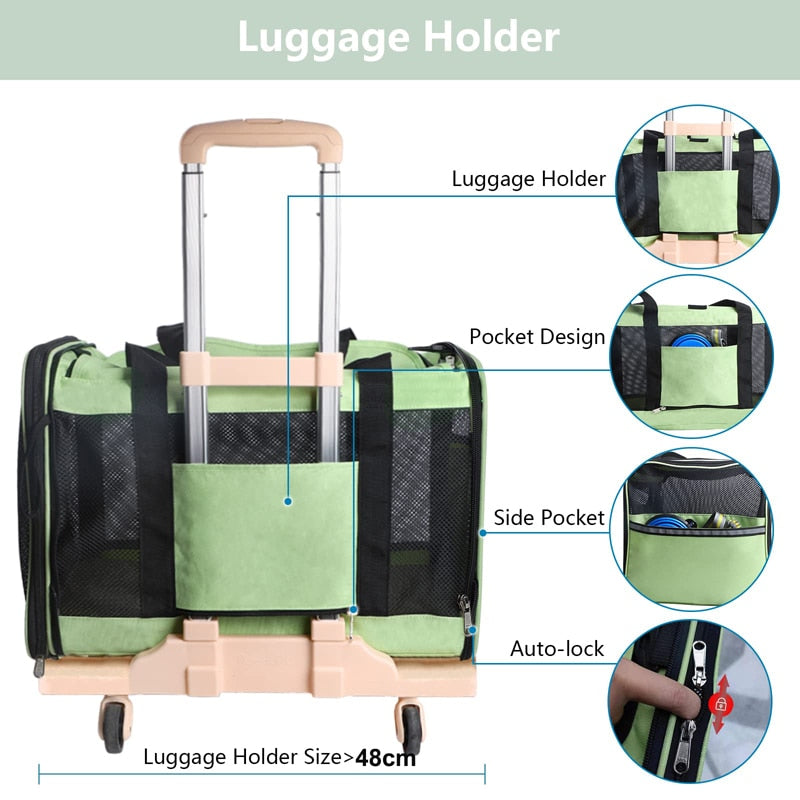 Collapsible Large Carrier For Dogs