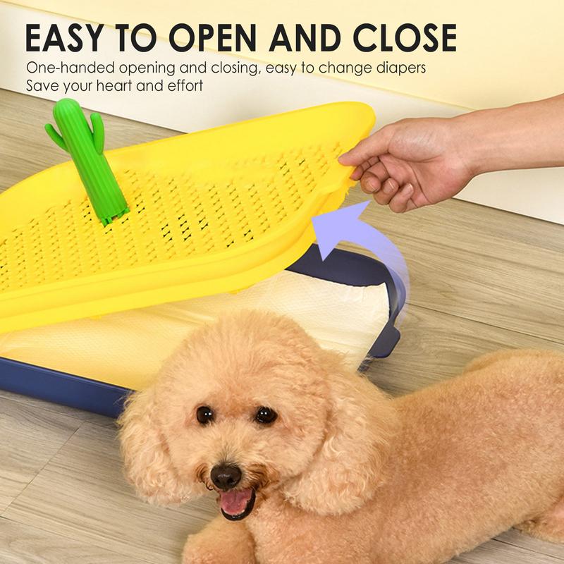 Desert Oasis Design Dog Potty