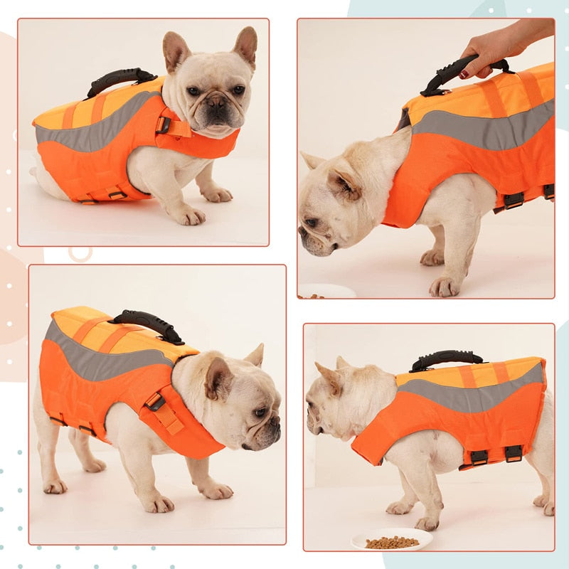 Leash Ring Dog Life Jacket