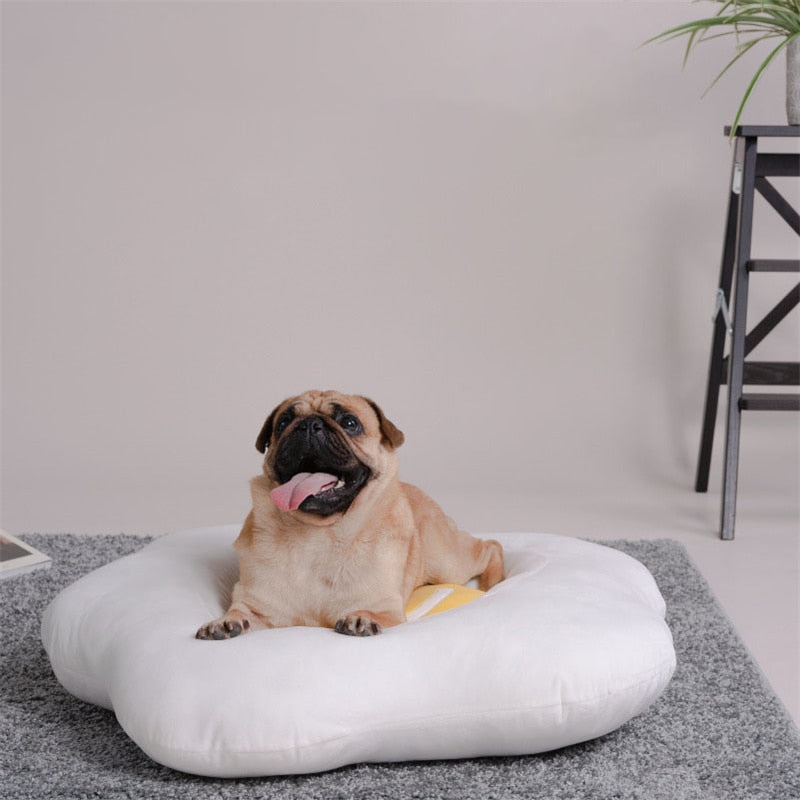 Egg Shape Large Pet Mat