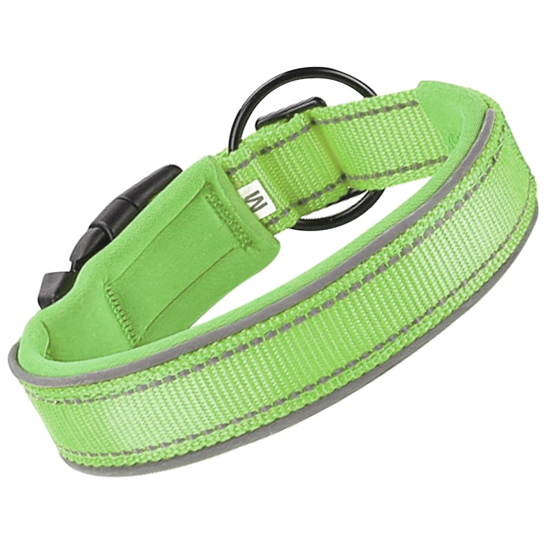 Heavy Duty Padded Dog Collars