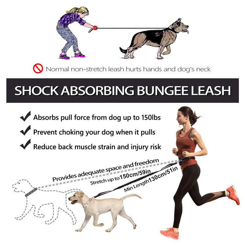 Elastic Bungee Hand Free Dog Lead