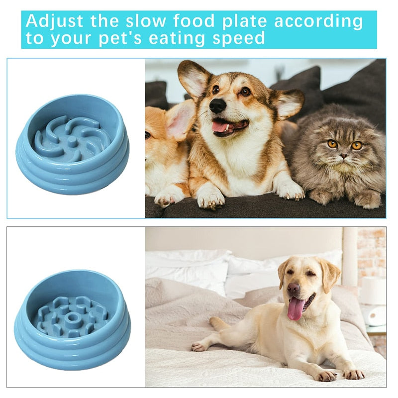 Dog Slow Feeder Maze Bowl