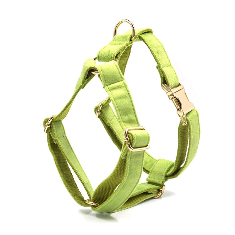 Luxury Fruit Green Velvet Dog Harness