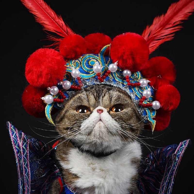 Funny Peking Opera Pets Costume