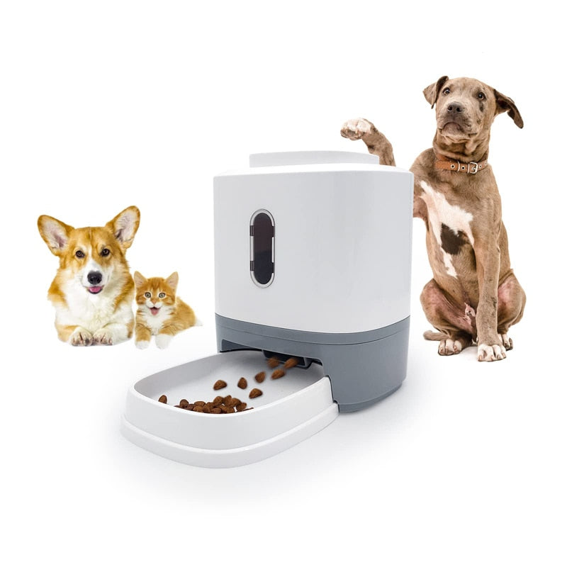 Catapult Button Design Dog Feeder