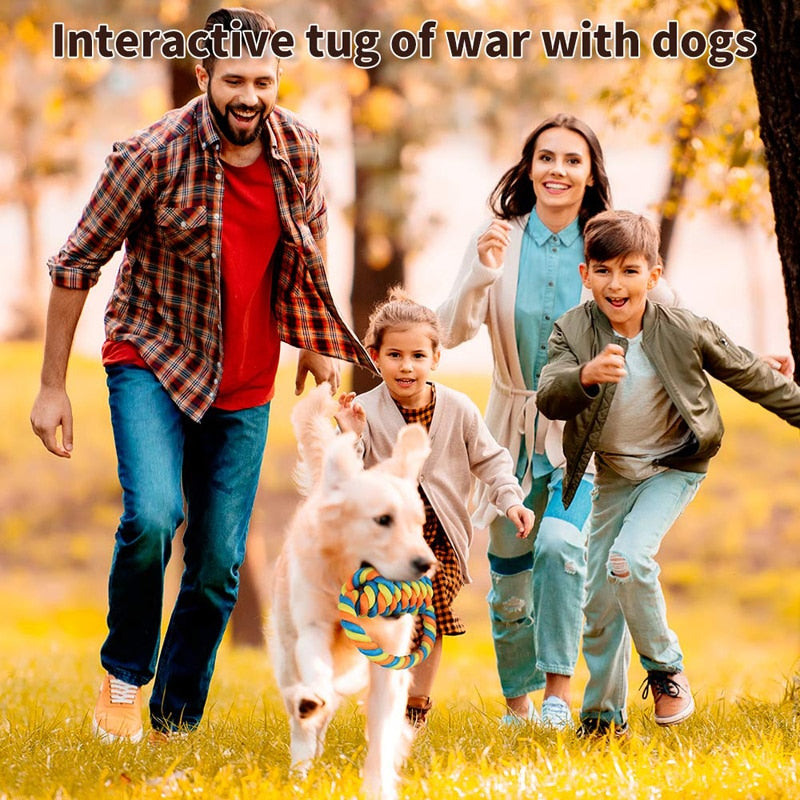 Bright Color Tug Of War Pet Toys