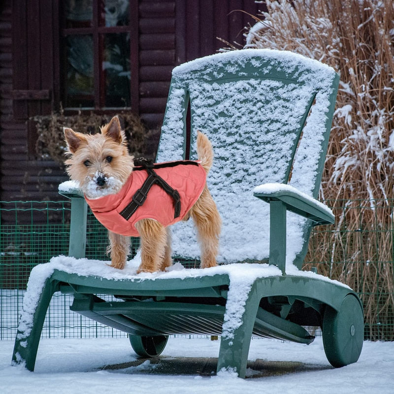 Winter Reflective Turtleneck Dog Jacket