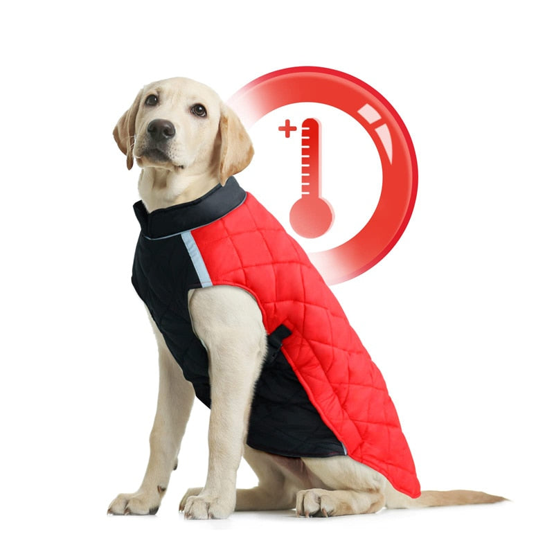 Winter Cold Weather Thick Dog Coat