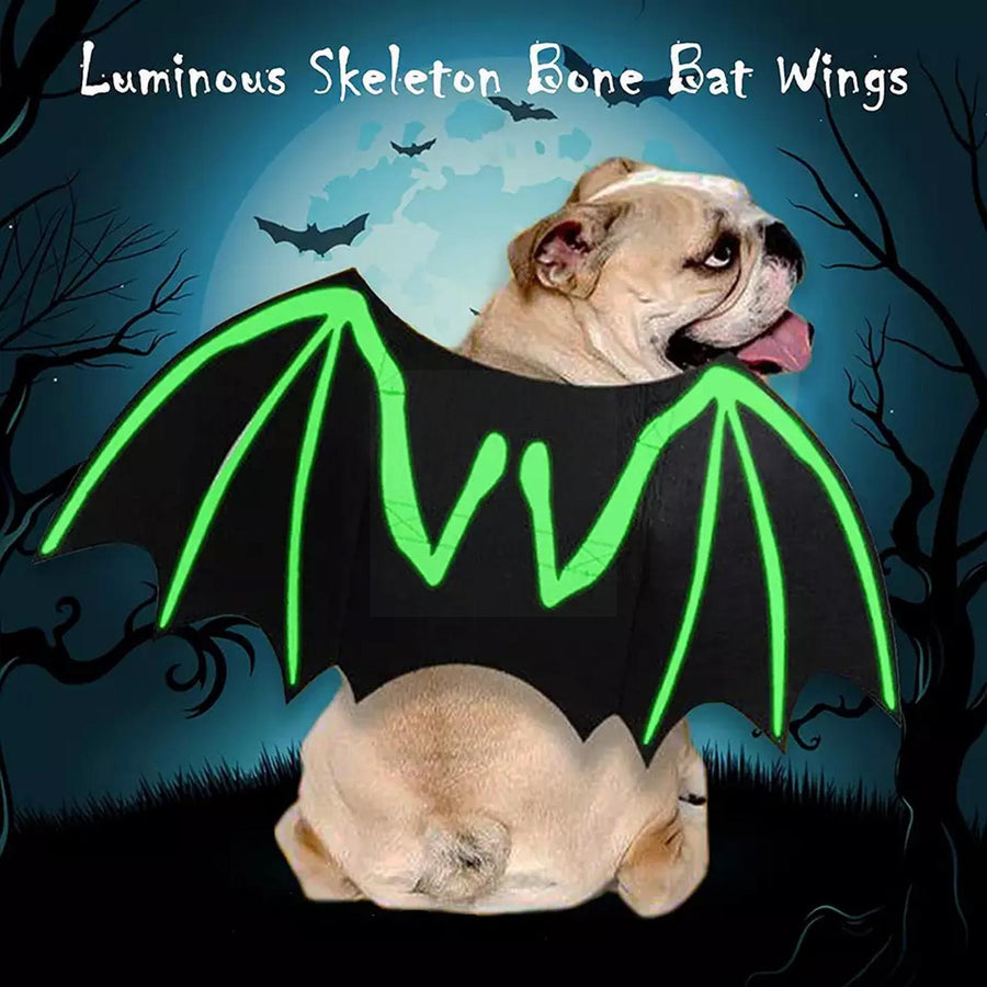 Halloween Dog Luminous Bat Costumes