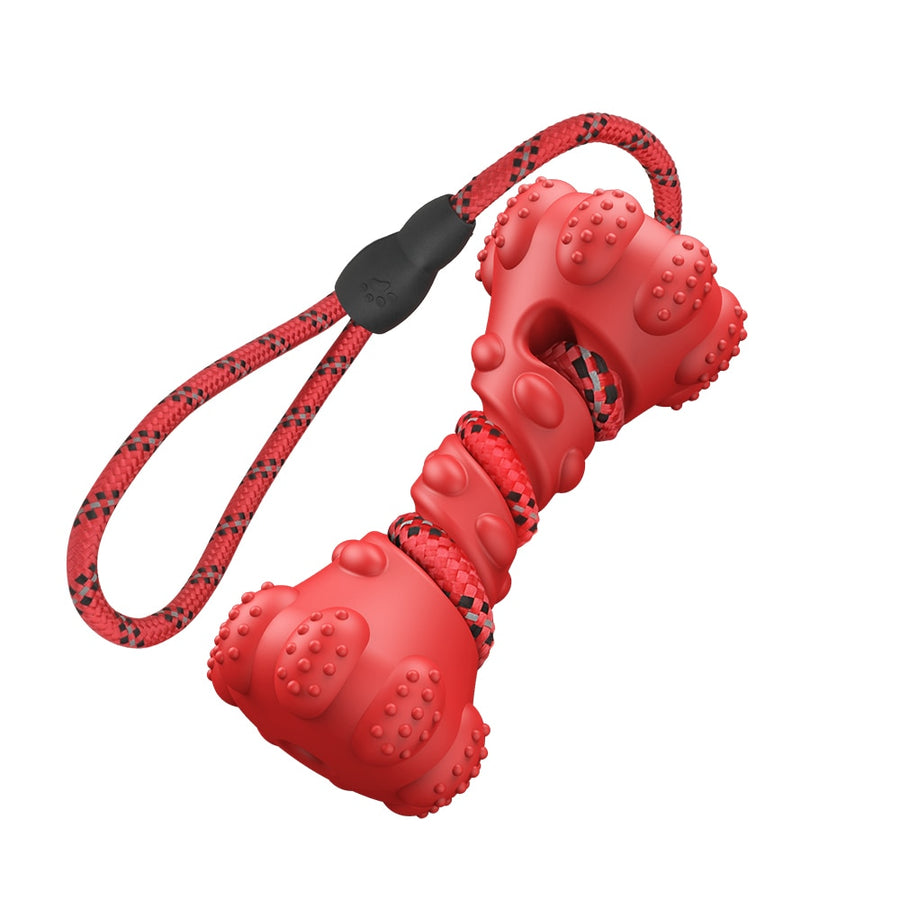 Tough Interactive Dumb Bell Dog Toy