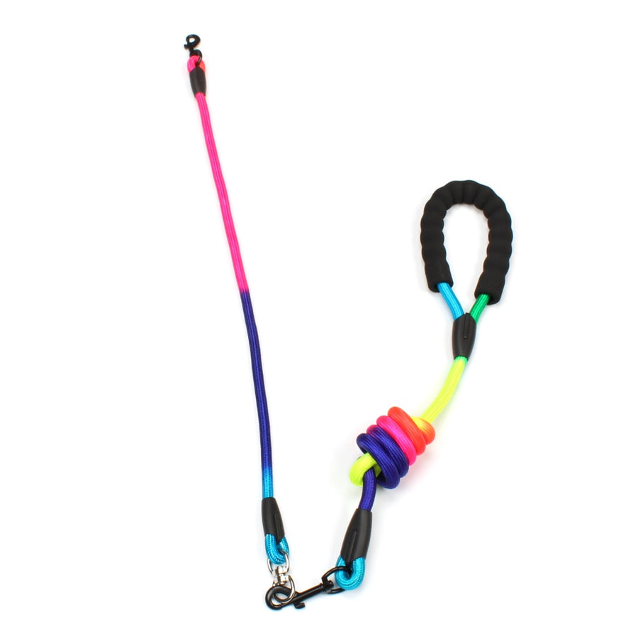 Detachable Rainbow Nylon Dog Leash