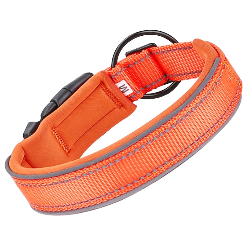 Heavy Duty Padded Dog Collars