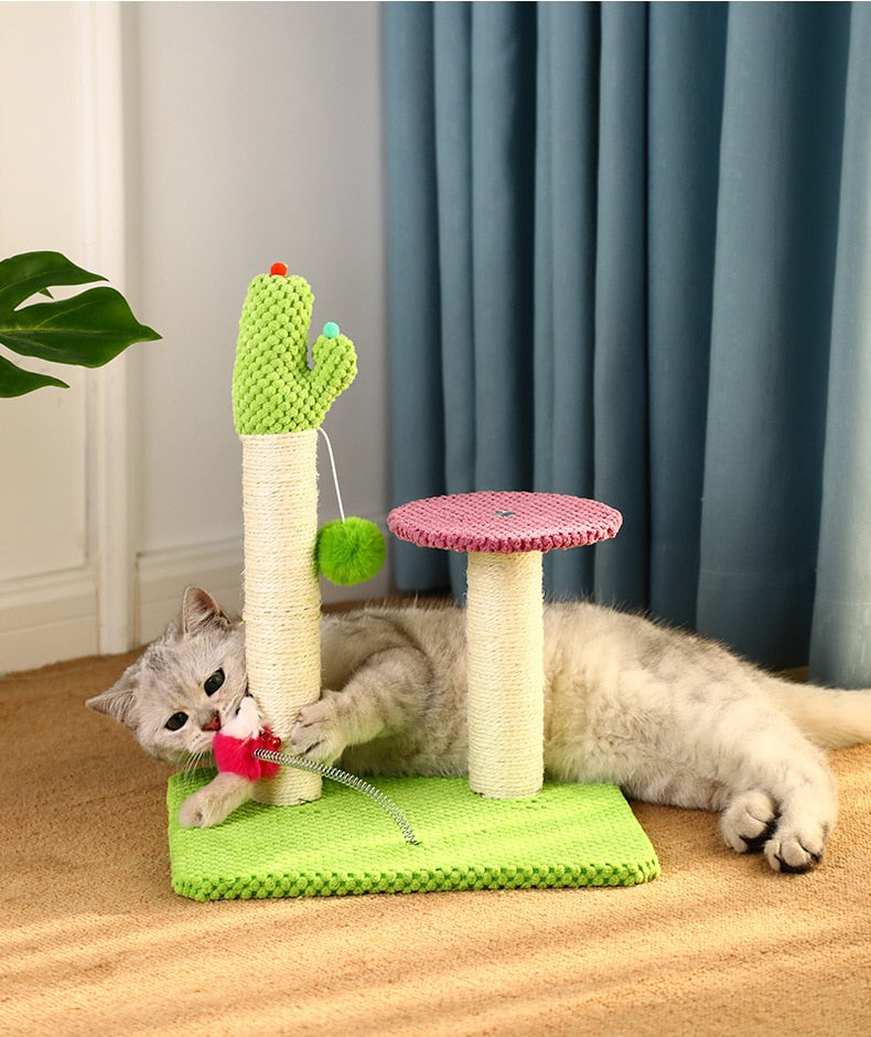 Funny Cactus Climbing Cat Rack