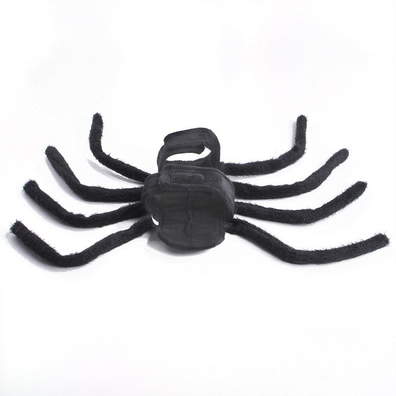 Halloween Spider Dogs Costume