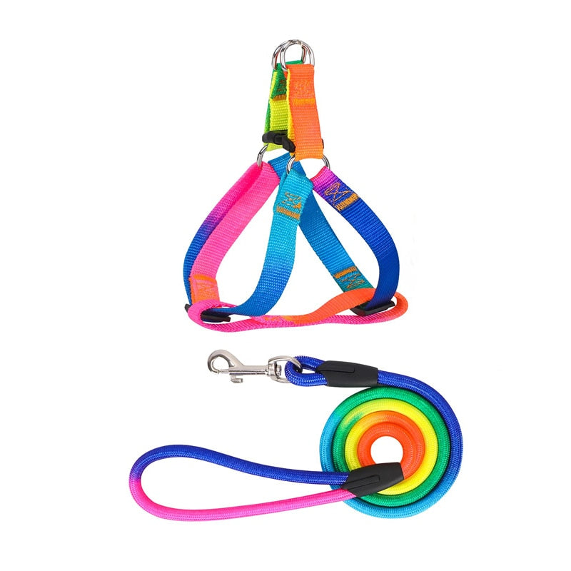 Rainbow No Pull Dog Harness Leash Set