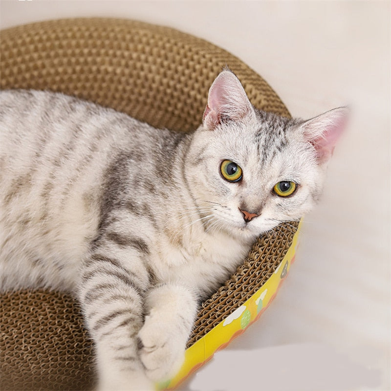 Oval Cat Scratch Board Furniture