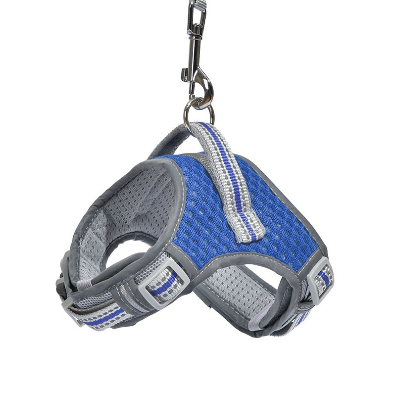 No Pull Air Mesh Dog Harness & Leash Set