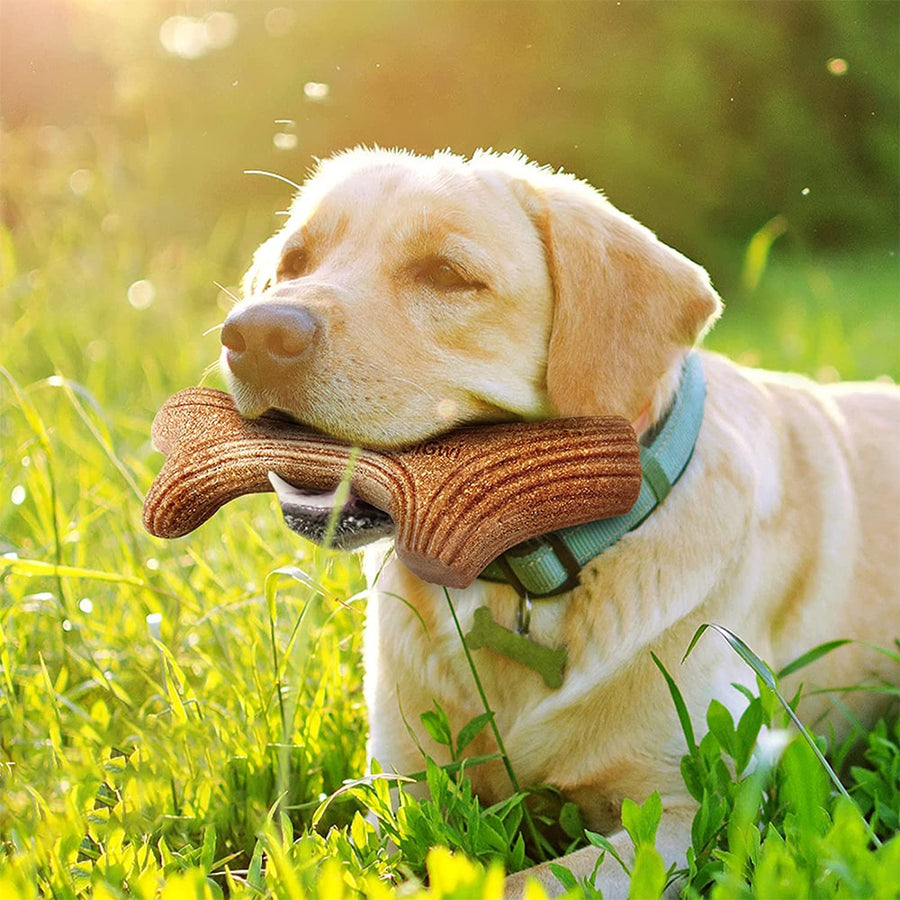 Near Indestructible Antler Dog Toy