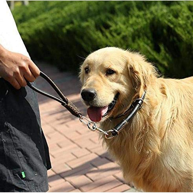 Genuine Leather Rustproof Dog Leash