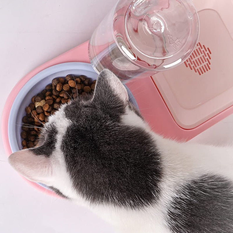 600ml Raised Detachable Pet Bowl