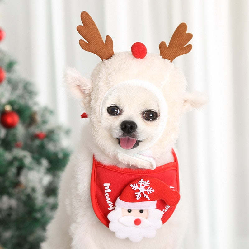 Snowy Christmas Dog Hat