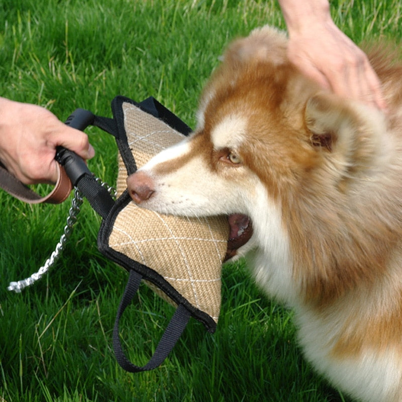 Durable Dog Training Bite Tug Pillow