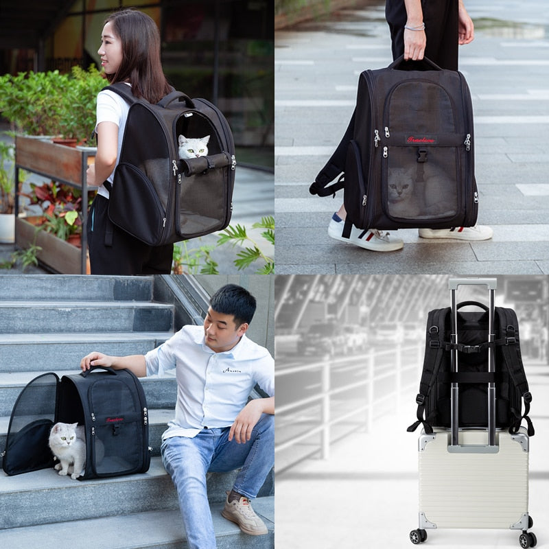 Wider Design Pet Backpack