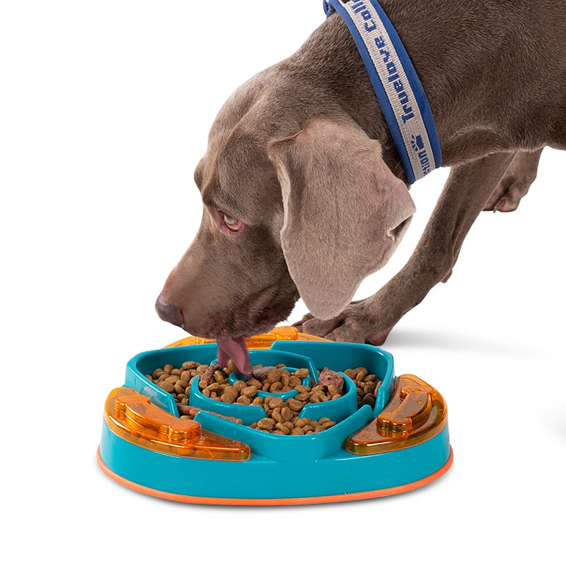 Anti Gulping Pet Slow Food Bowl