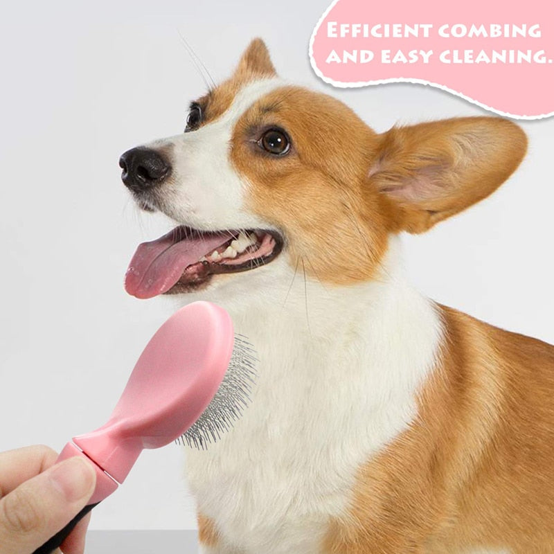 Effective 2 Sided Pet Brush