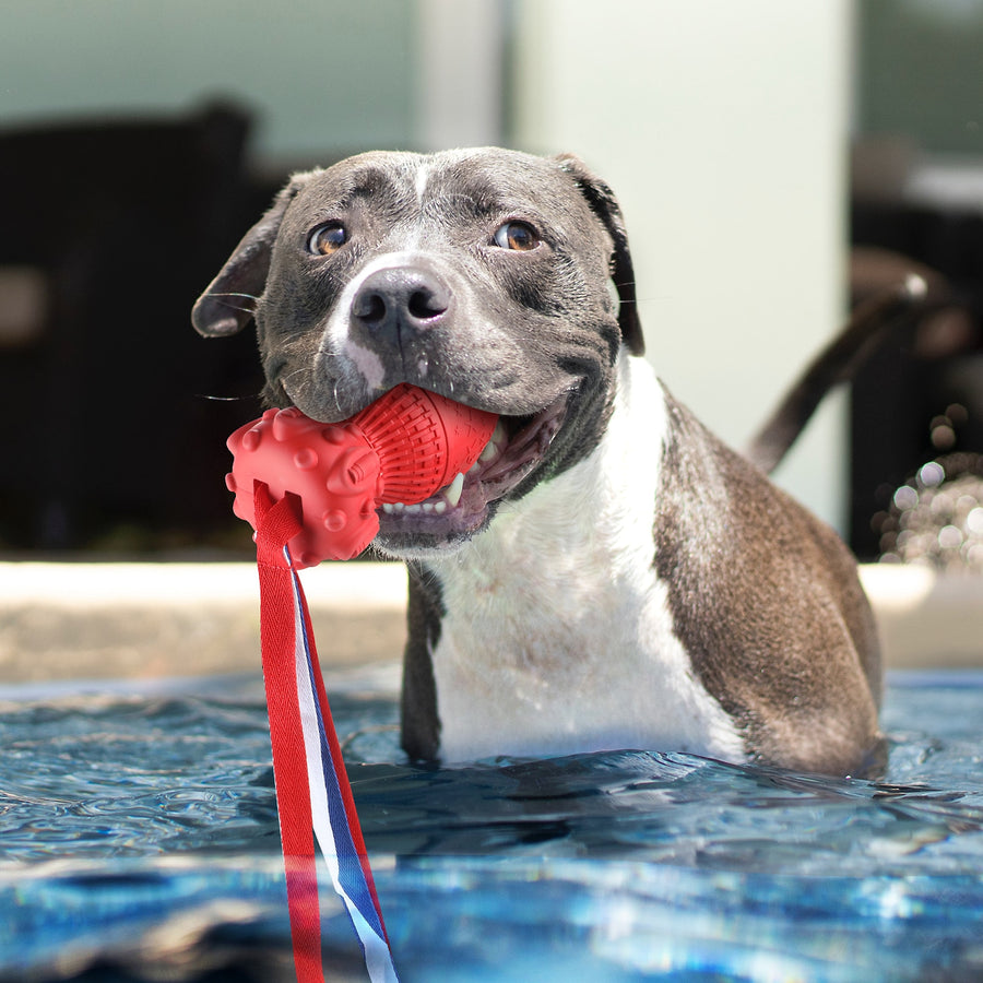 Interactive Bomb Shape Dog Toy