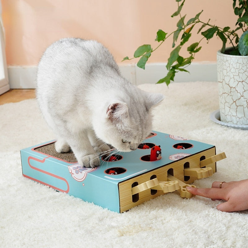 3 in 1 Cat Game Box