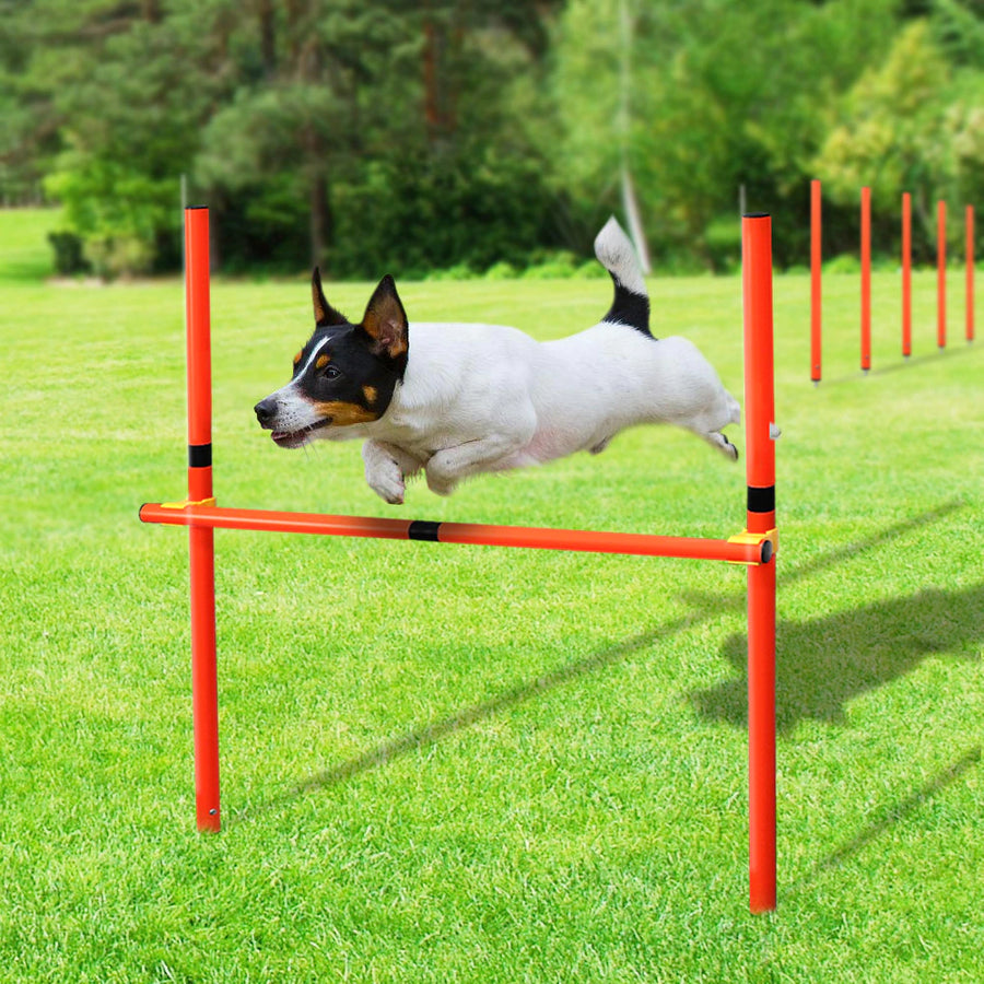 Dog Agility Hurdle Training Equipment