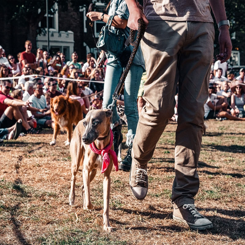 Handmade Strong Leather Dog Leash