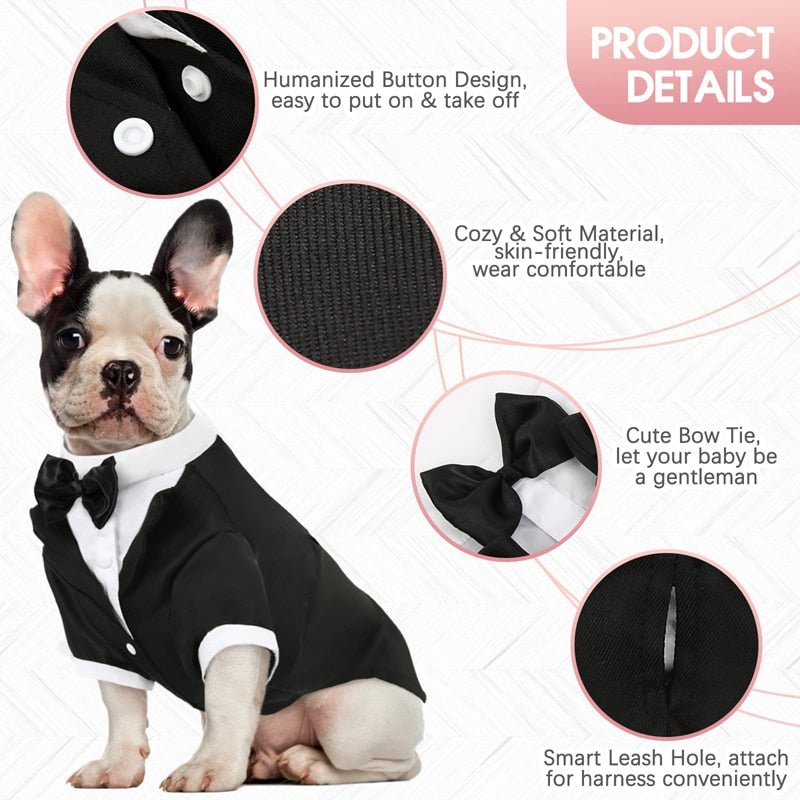 Formal Tuxedo Black Tie Dog Shirt