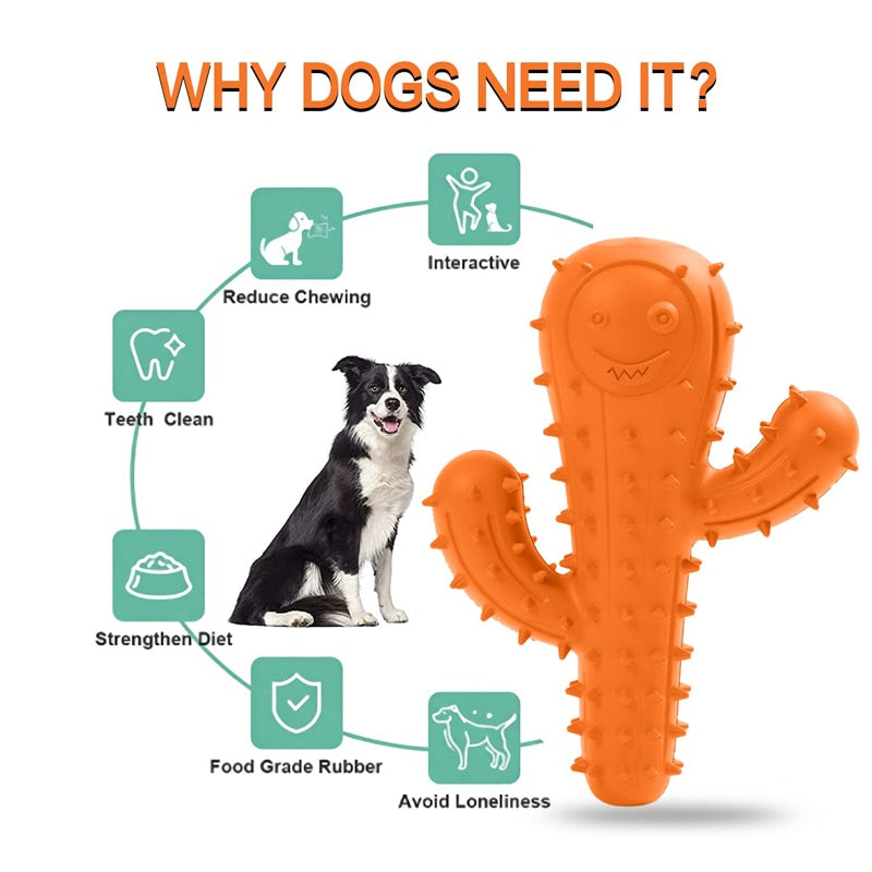 Interactive Cactus Squeaky Dog Toy