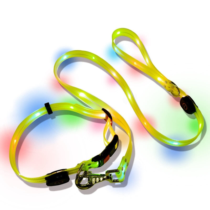 Light Up Led Dog Leashes And Collar