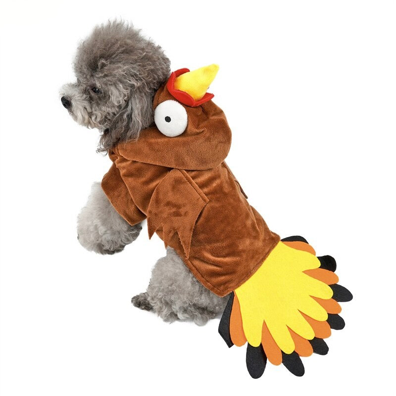 Funny Turkey Dog Costumes