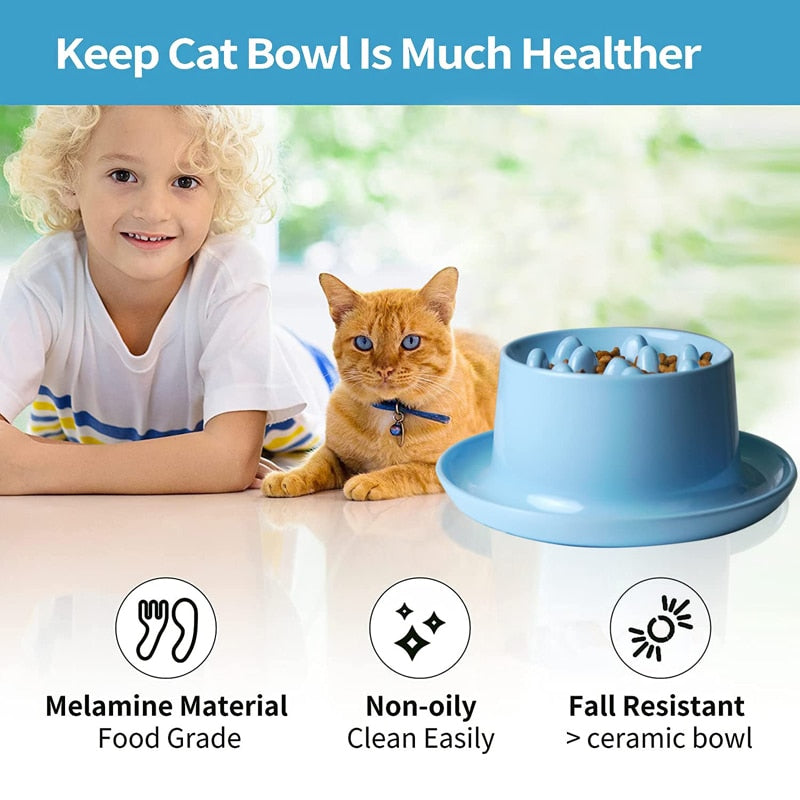 Obesity Prevention Raised Pet Bowl