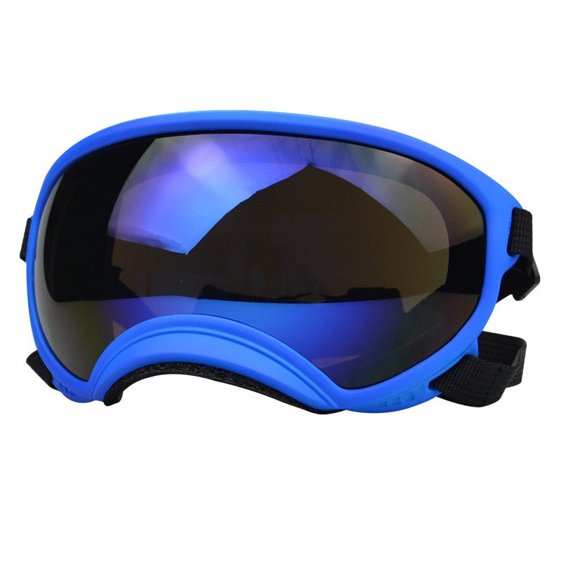 Premium Outdoor Dog Goggles