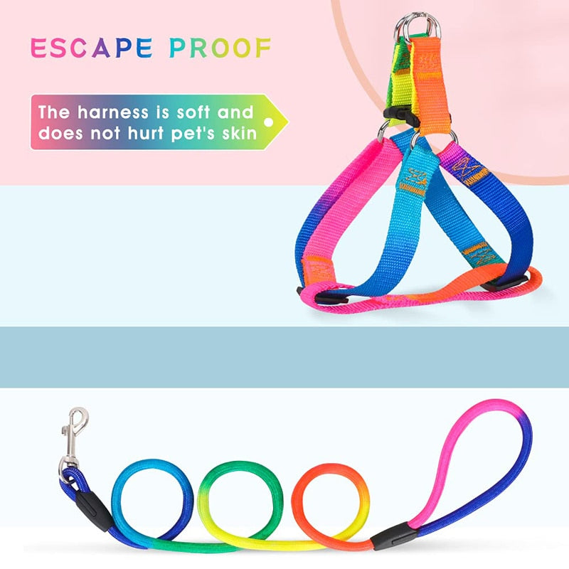 Rainbow No Pull Dog Harness Leash Set